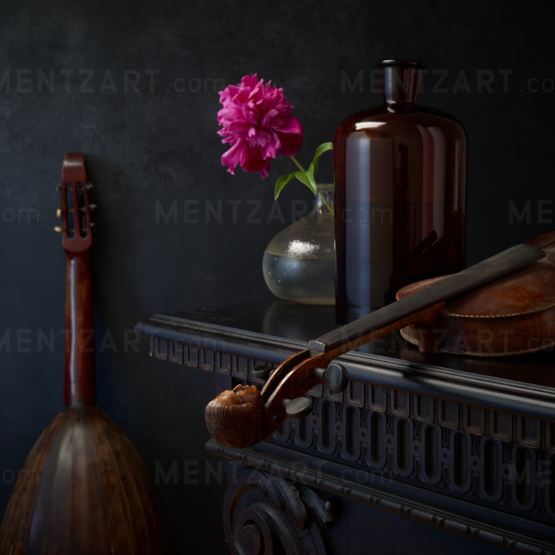Still life with antique instruments and a pink flower